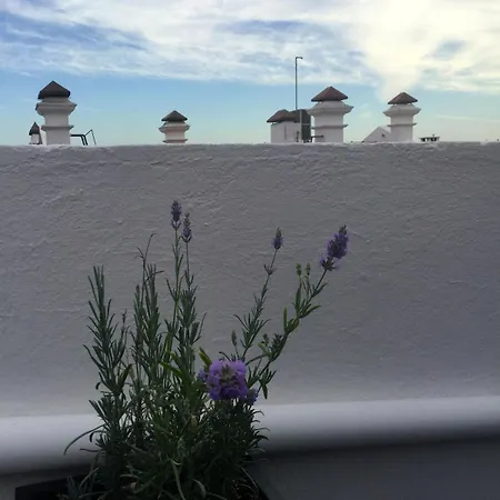 Cosy Estudio In The Heart Of Principe Real アパート